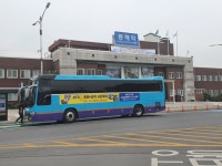 삼일여행사