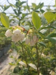 민찬농장