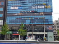 버들가