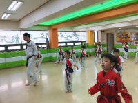 대연한얼태권도