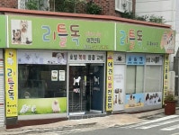 리틀독