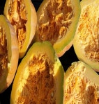 지리산골건강농장