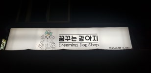 꿈꾸는강아지