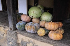 지리산골건강농장