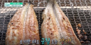 한강민물장어