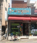 애견일번지