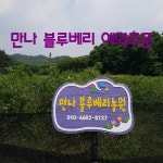 만나블루베리농장