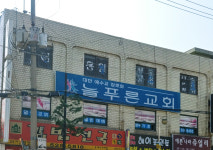 늘푸른교회
