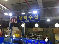 대박수산11번