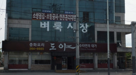 도야