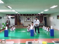 경희대석사최강 하늘태권도