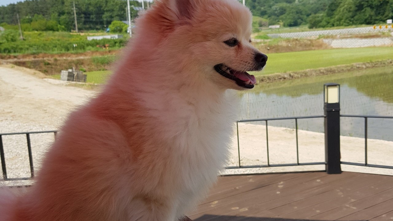 영화마을