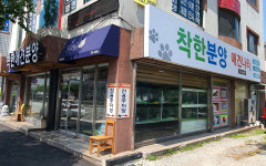 착한애견분양 원주점