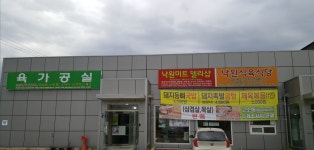 낙원미트