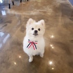 영화마을