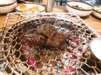 늘푸른목장 분당점