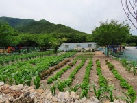 솜펜션