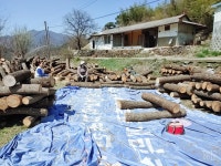도깨비표고랑목화랑농장