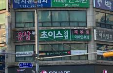 봄날초이스의원