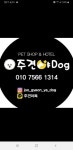 주견야DOG