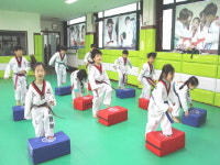 올림픽태권도장