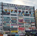대대클럽/포켓볼