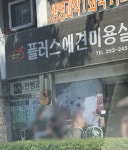 플러스애견미용실