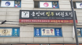 용인대진무태권도장