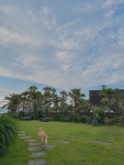 삼일삼오