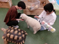 해피주 수원점