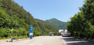 샘골솔밭야영장