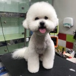 THE폼나개