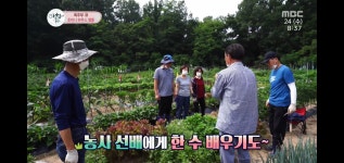 산우 주말농장