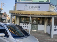 꿈꾸는강아지