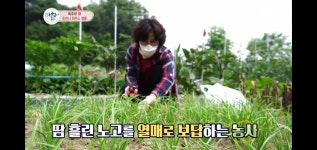 산우 주말농장