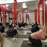 다옴요가&필라테스