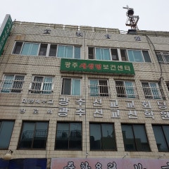 선교교회