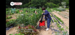 산우 주말농장
