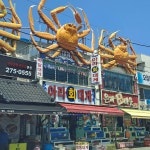 아라회대게