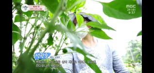 산우 주말농장