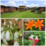 보성생태흙집펜션