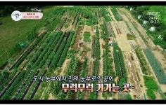 산우 주말농장