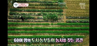산우 주말농장
