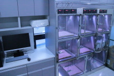 라포레동물메디컬센터