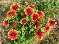 참좋은당신농원