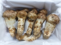 팔공농산