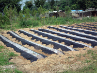 샤론노인요양원