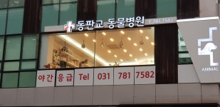 365동판교동물병원