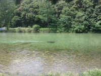 호수유원지민박