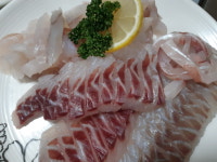 태안수산&물가맛있게먹는날